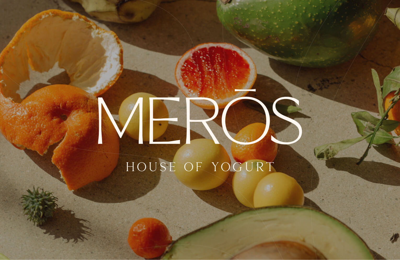 The REX Agency | Merōs House of Yogurt - meros-porfolio-00 (1)